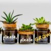 Home Planting – 7 Innovative Indoor Gardening Solutions